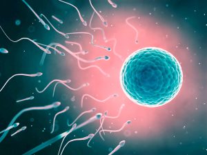do you still produce sperm after a vasectomy