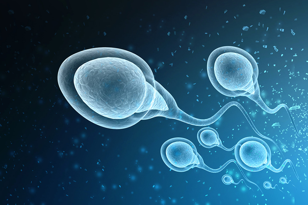 do you still produce sperm after a vasectomy