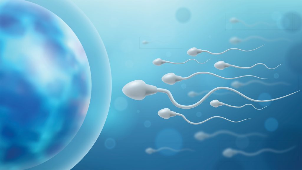 can you get pregnant from dead sperm after vasectomy